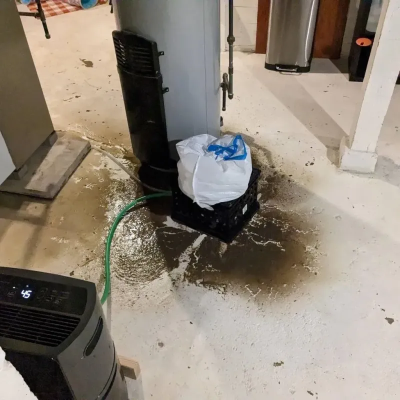 Sewage Backup Cleanup Service in Refugio County, TX
